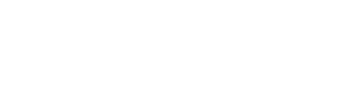 RLX logo